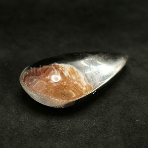 画像5: ガーデンクォーツ（カボションカット）e