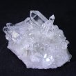 画像8: 水晶クラスター《ミニ》4（ブラジル  ミナス・ジェライス州 トマス・ゴンザーガ産） (8)