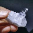 画像10: 水晶クラスター《ミニ》12（ブラジル  ミナス・ジェライス州 トマス・ゴンザーガ産） (10)